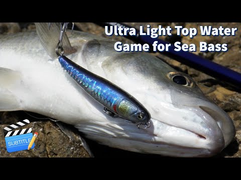 Видео: Приключения с лёгкой рыбалкой №16: Ультралёгкая игра в поверхностных водах! 14 МОРСКОЙ ОКУНЬ и "к...