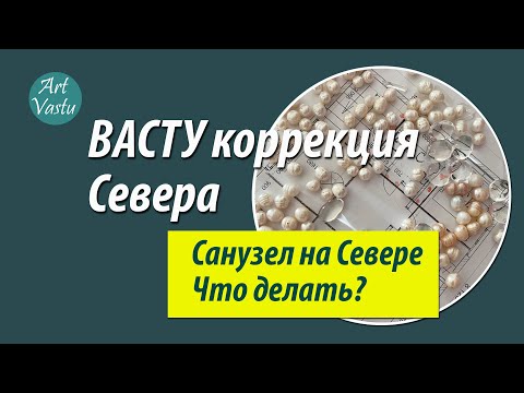 Видео: Коррекция Севера по ВАСТУ. Санузел