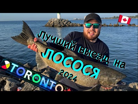 Видео: Такой рыбалки на лосося у меня еще не было | Пока что это мой лучший выезд |