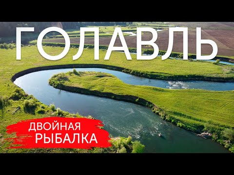 Видео: ДЕРЗКИЕ ПОКЛЕВКИ! ЧЕТКОЕ ОТКРЫТИЕ СЕЗОНА ЛОВЛИ ГОЛАВЛЯ!