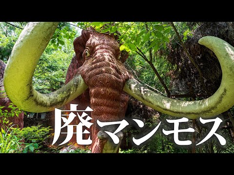 Видео: Заброшенная выставка с мамонтами и тысячерукой Каннон [Коллекция K]