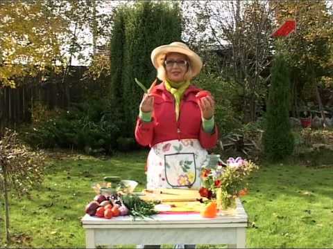 Видео: Лучки Пучки.  Серия 162.  Малосольные огурцы с чесноком