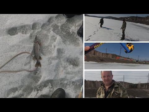 Видео: ВОЛЧИХИНСКОЕ ВДХР . ФЛЮС. СУДАК .ЩУКА. ЖЕРЛИЦЫ. ОТЧЕТ 11.04.22