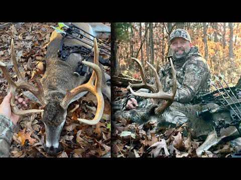 Видео: Мой самый большой олень в моей жизни! Охота с луком, охота на общественных землях штата Миссури