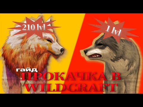 Видео: как ПРОКАЧАТЬСЯ? СОВЕТЫ по ПРОКАЧКЕ | Wildcraft 