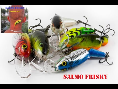 Видео: Salmo Frisky ловить все!