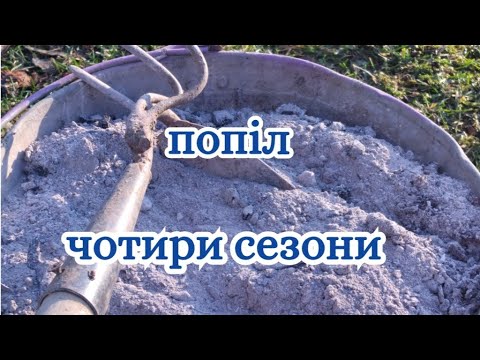 Видео: Правильне добриво з попелу. Монофосфат калію власноруч.