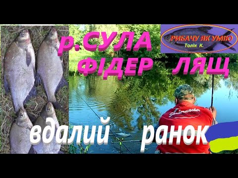 Видео: #СУЛА # ЛЯЩ на фідер #РибачуЯкУмію