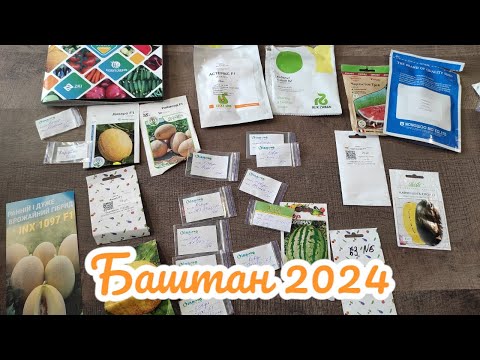 Видео: Кавуни та  дині на 2024