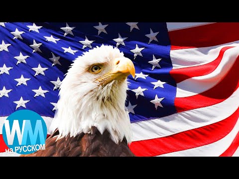 Видео: ТОП 10 Вещей, Которые Делают Только Американцы (И Думают Что Это Нормально)