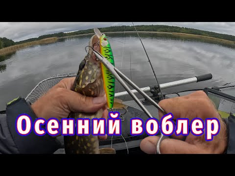 Видео: Этот воблер выручает Осенью!  Всегда приносит поклёвки щуки!