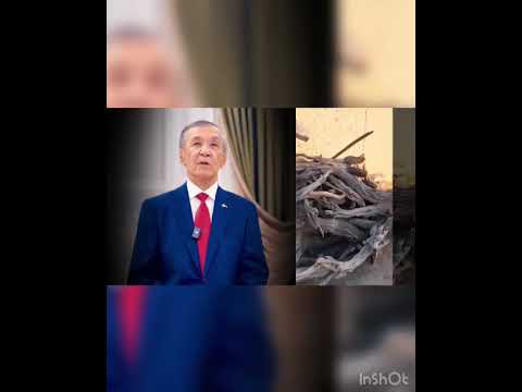 Видео: Керизбулак ауылына тилектер