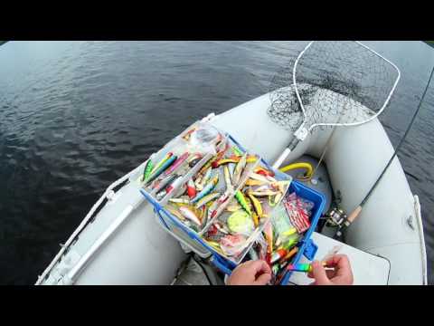 Видео: Рыбалка на реке Луга  д.Орлы. Щука 3кг