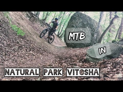 Видео: MTB IN NATURAL PARK VITOSHA | ПЛАНИНСКО КОЛОЕЗДЕНЕ В ПРИРОДЕН ПАРК ВИТОША | ОТ БОЯНА ДО ДРАГАЛЕВЦИ