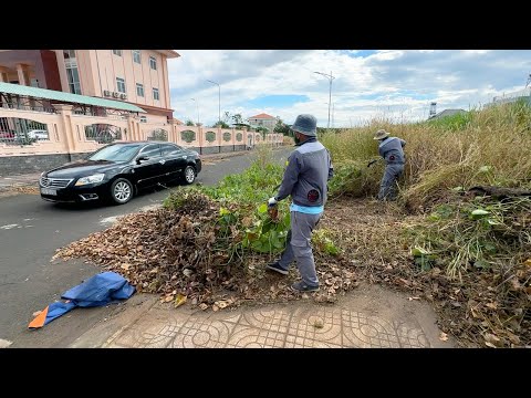 Видео: ПЛОХО, когда широкий и красивый тротуар правительство оставляет без уборки | Clean Up Lawn