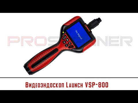 Видео: 13 декабря 2023 г.