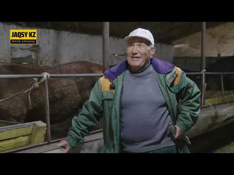 Видео: 3 ПРЕЗИДЕНТТІҢ АЛДЫНДА САЛЫМ САЛҒАН АТАҚТЫ КӨКПАРШЫНЫҢ ОҚИҒАСЫ