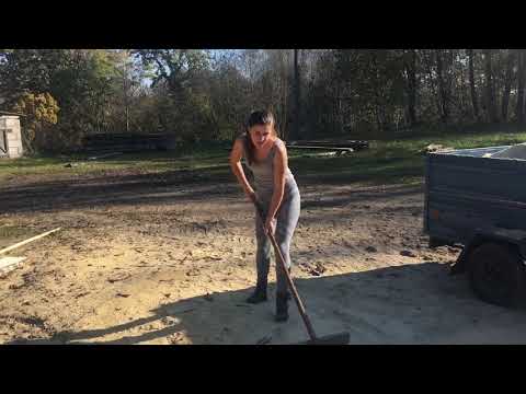 Видео: Запуск бактерий в подстилку