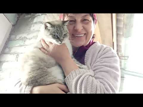 Видео: Выбрасываю цветы, двор пустеет/Проверили генератор на всякий случай...