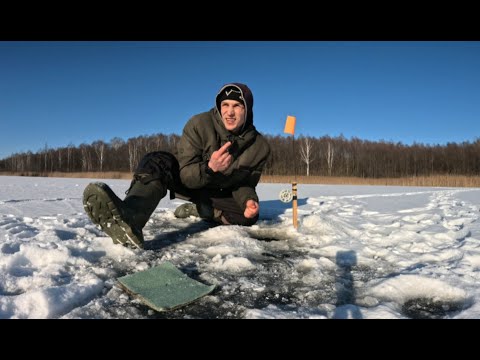 Видео: Ловлю щуку на диком лесном озере