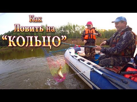 Видео: Как Ловить на Снасть Кольцо! Отличный Клёв - Работает Личинка!