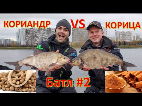 Видео: Кориандр против Корицы БАТЛ#2
