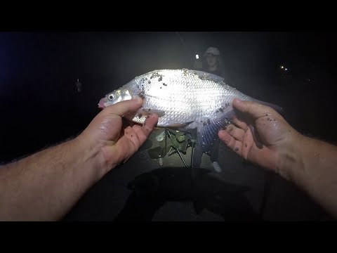 Видео: Капчагай 7 НС! Ночная рыбалка на леща!