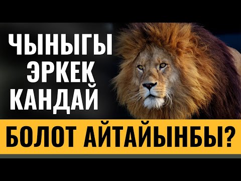 Видео: ЧЫНЫГЫ ЭРКЕК КАНДАЙ БОЛОТ АЙТАЙЫНБЫ? СУРОО-ЖООП