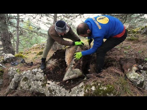 Видео: Охотники за сокровищами сошли с ума, когда увидели сокровище на миллион долларов!!!