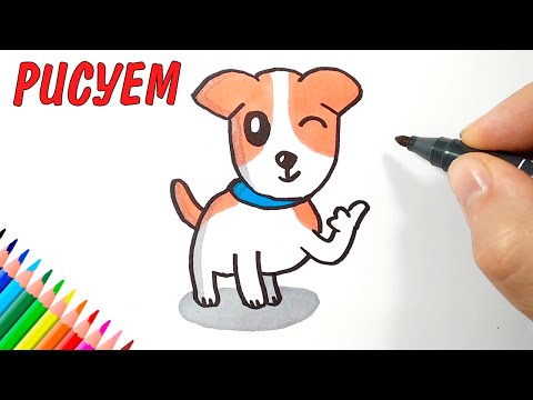 Видео: СОБАКА, моя любимая порода