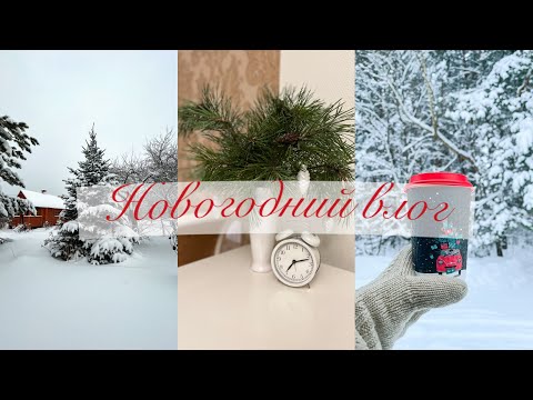 Видео: Vlogmas 💫 Дача 🏡 Наряжаем ёлку 🎄