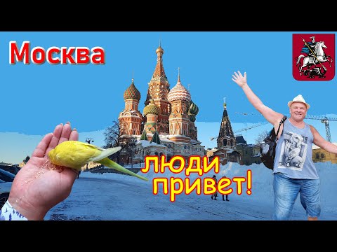 Видео: 470. Прогулка по Москве, часть 16. Немного по всему, вернее всего понемногу. Экспресс тур по столице