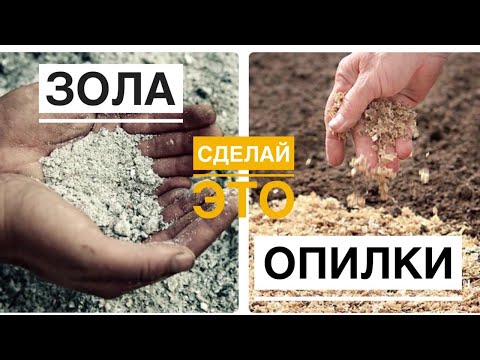 Видео: Опилки и зола творят чудеса. Почва улучшается на глазах!!!