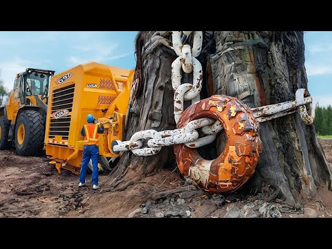 Видео: Гениальные Cтроители Совершенно Нового Уровня