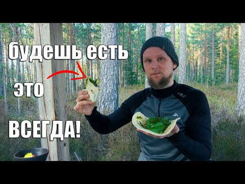 Видео: ЭТО БОЖЕСТВЕННО! ЧИМИЧУРРИ ИЗ ЧЕРЕМШИ!