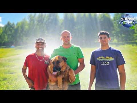 Видео: Праздники чередуются с буднями, а работа чередуется с приёмом гостей. Строим погреб и барбекю.