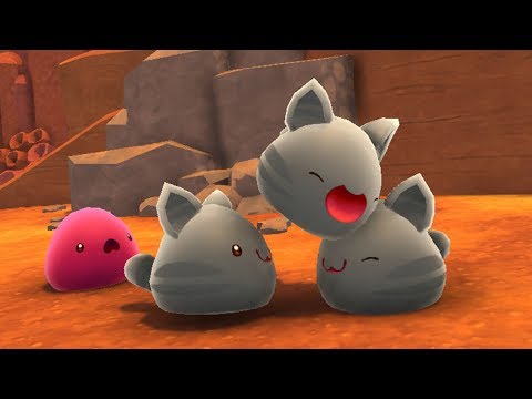 Видео: БИЗНЕС РАСТЕТ !