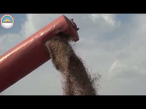 Видео: Филм мухтасар АИКТ