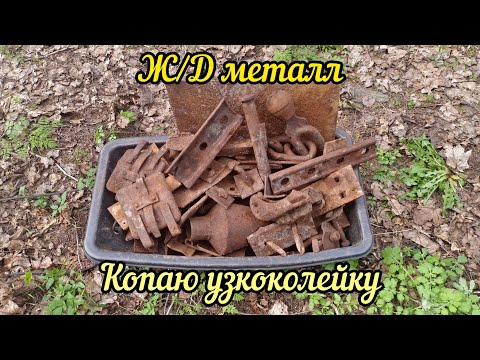 Видео: Металлокоп в Беларуси, клёв как обычно к вечеру😄 ловится металл большой и маленький.