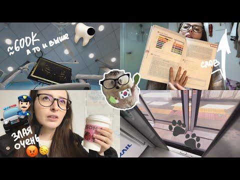Видео: KOREA VLOG DIARY|полиция закрыла дело о краже /еду в стоматологию, в Инчхоне / цена |16-18.03.2025