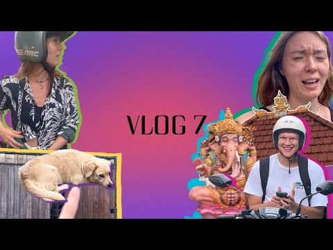 Видео: ВЛОГ 7. Обзор дешевого жилья на Бали (Чангу/Canggu) часть 1/Сравнение реальных цен с букингом