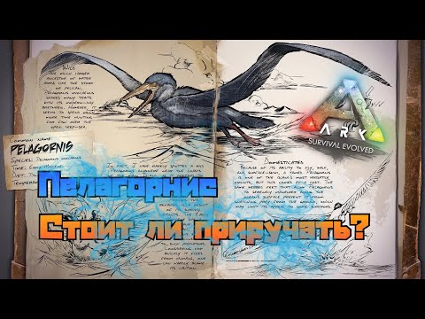 Видео: Пелагорнис ARK MOBILE | Стоит ли приручать? | Пелагорнис Арк Мобайл | Арк Мобайл