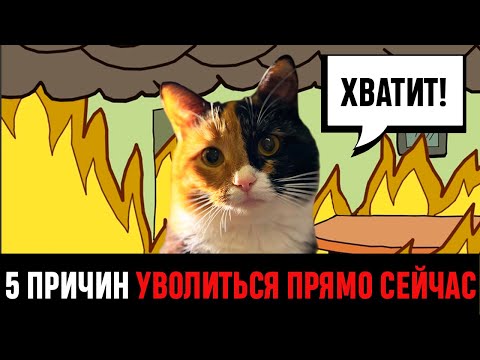 Видео: Когда 100% пора увольняться? 5 причин