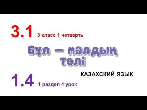 Видео: БҰЛ - МАЛДЫҢ ТӨЛІ. 3 класс. Казахский язык в русской школе