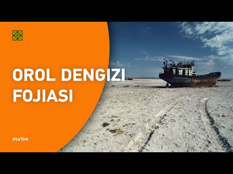 Видео: Orol dengizi fojiasi. Orol: oʻlimdan keyin hayot mavjudmi? Ekologiya. | XURMO [Все как у зверей]