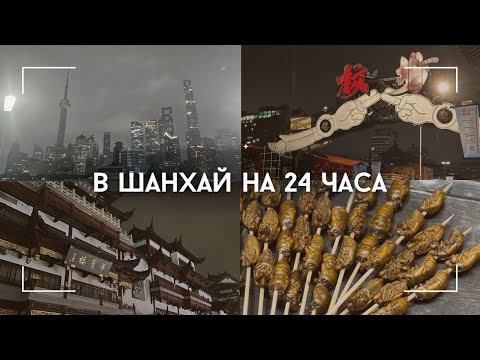 Видео: От эйфории до реальности | Впервые в Шанхае ВЛОГ