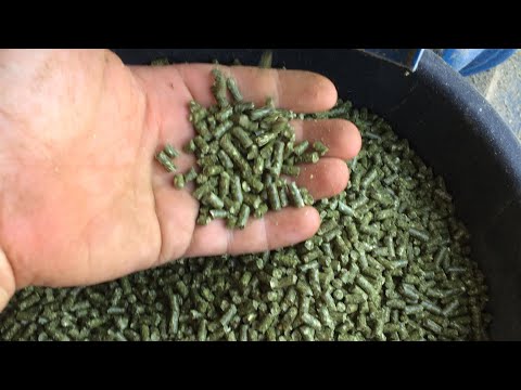 Видео: Что нужно учитывать при выборе гранулятора