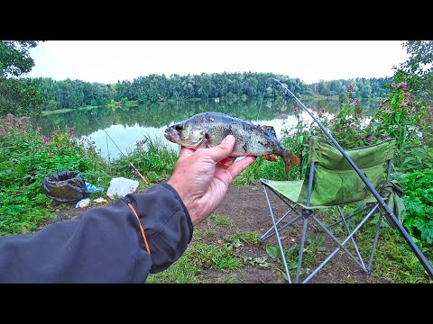 Видео: Алексеевский пруд. Балашиха. Лещ на спиннинг. Архивная рыбалка 2019