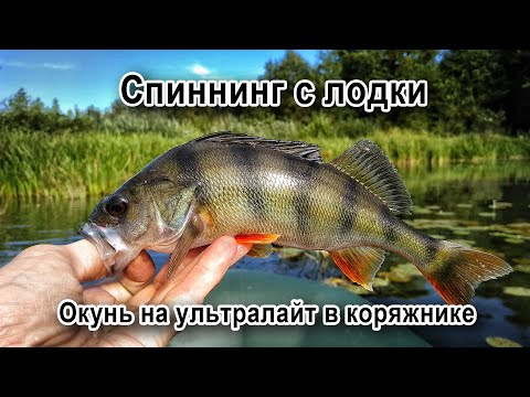 Видео: Спиннинг с лодки. Окунь на ультралайт в коряжнике.