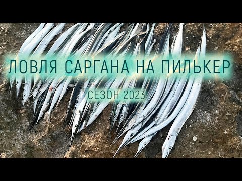 Видео: Сарган второй день атакует наши пилькеры. Рыбалка на Черном море.